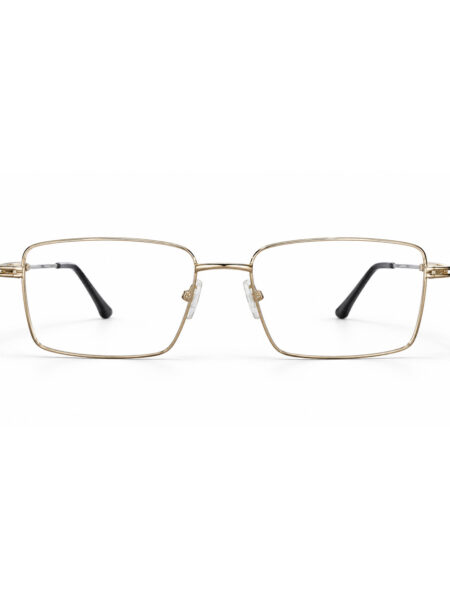 Gold and Silver Rectangle Eyeglasses – front view