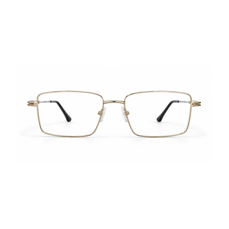 Gold and Silver Rectangle Eyeglasses – front view
