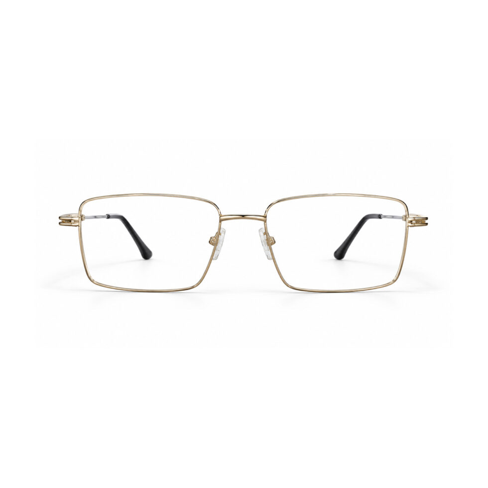Gold and Silver Rectangle Eyeglasses – front view